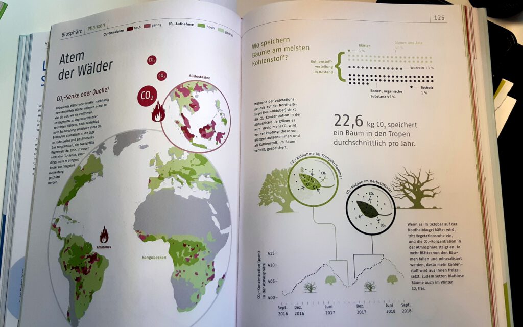 Die Infografik befasst sich mit der Rolle der Wälder für den CO2-Haushalt der Erdatmosphäre